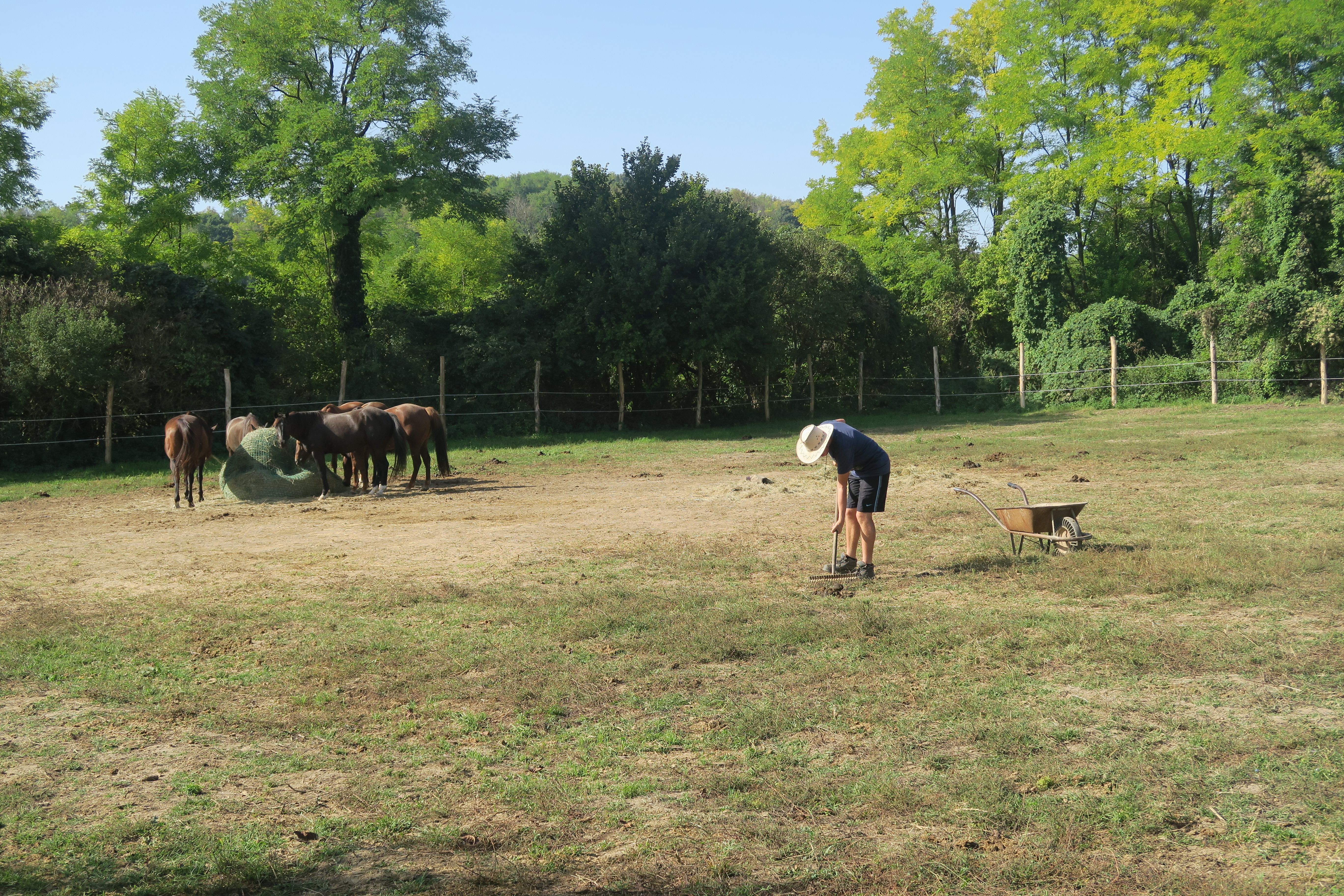 A legelőn